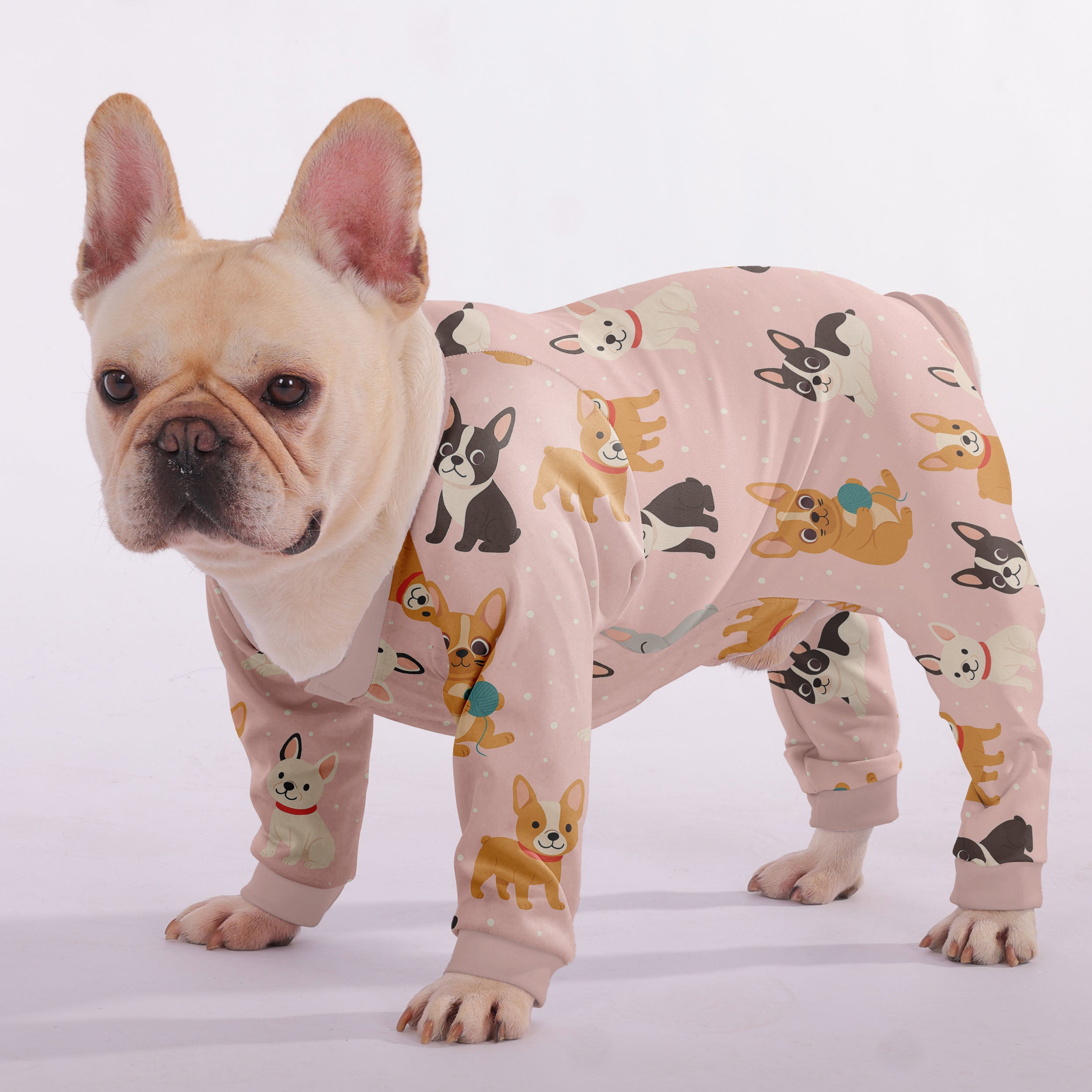 French Bulldog Bowie Frenchie Pajama Useful Frenchie Gear