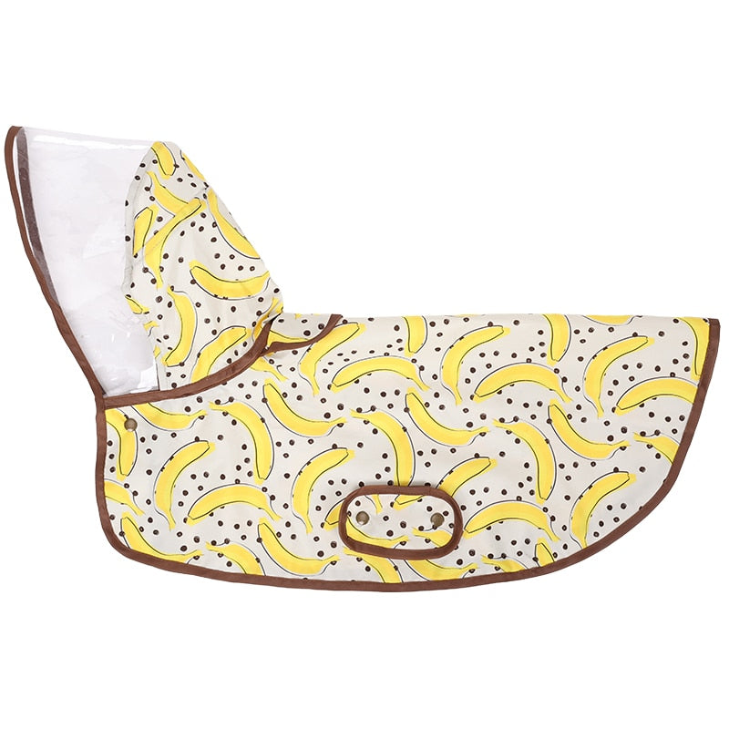 Cozy High-Quality Pawdry Premium Frenchie Rain Jacket for Casual Outings