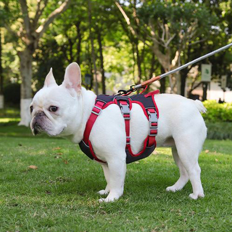 Premium No Pull Frenchie Harness: Reflective Chest Strap for Night Safety