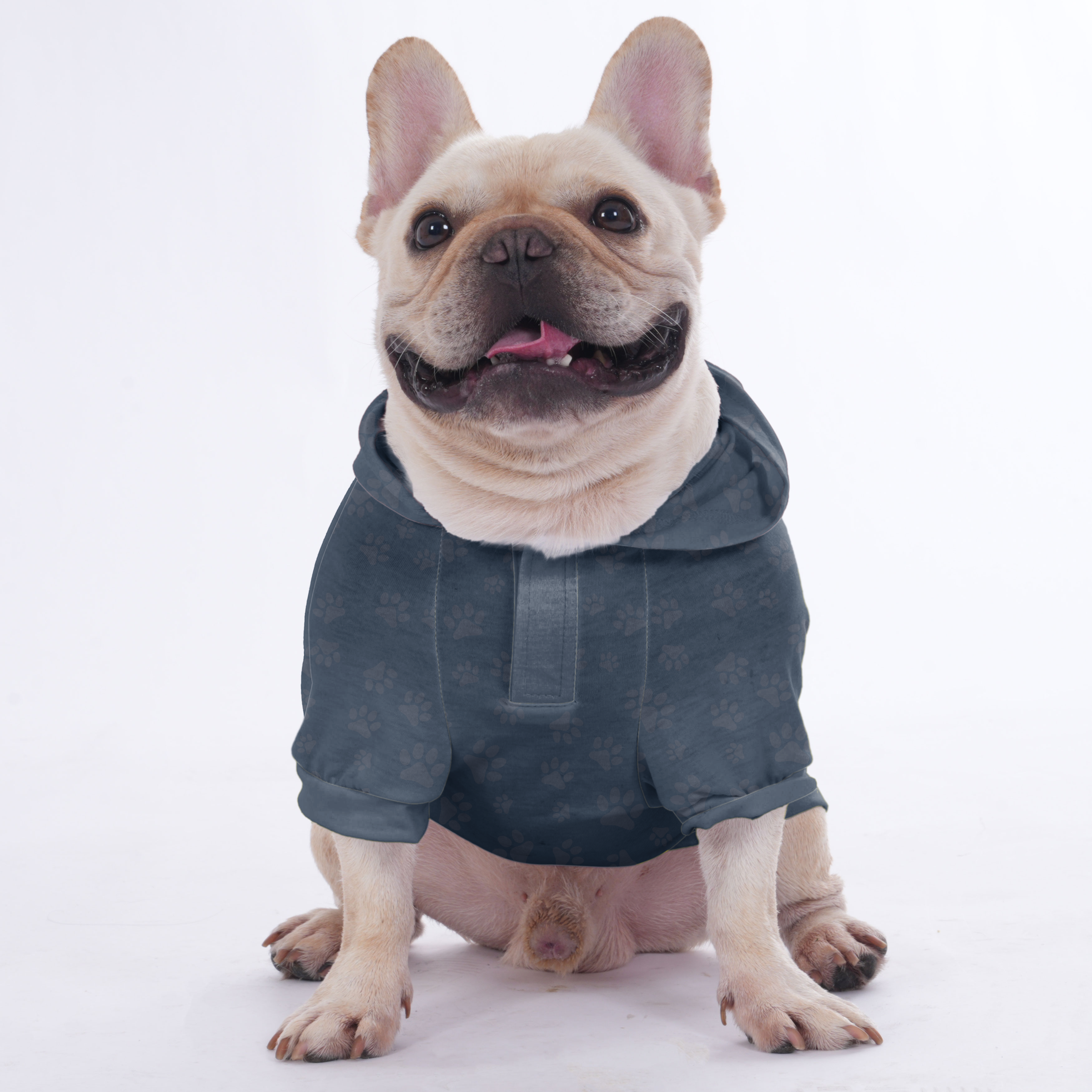 Pet-Lover Customized French Bulldog Hoodies With Your Dog’s Name | Fr...