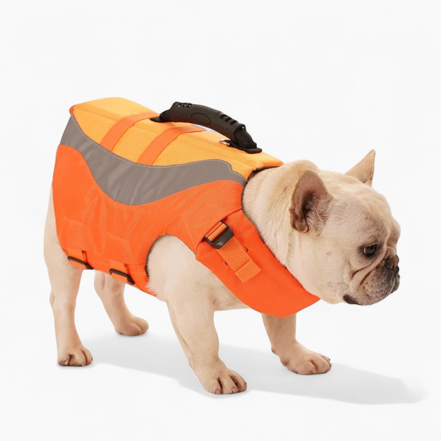 Frenchie Reflective Swim Vest – Safety Adjustable Life Jacket with Handle