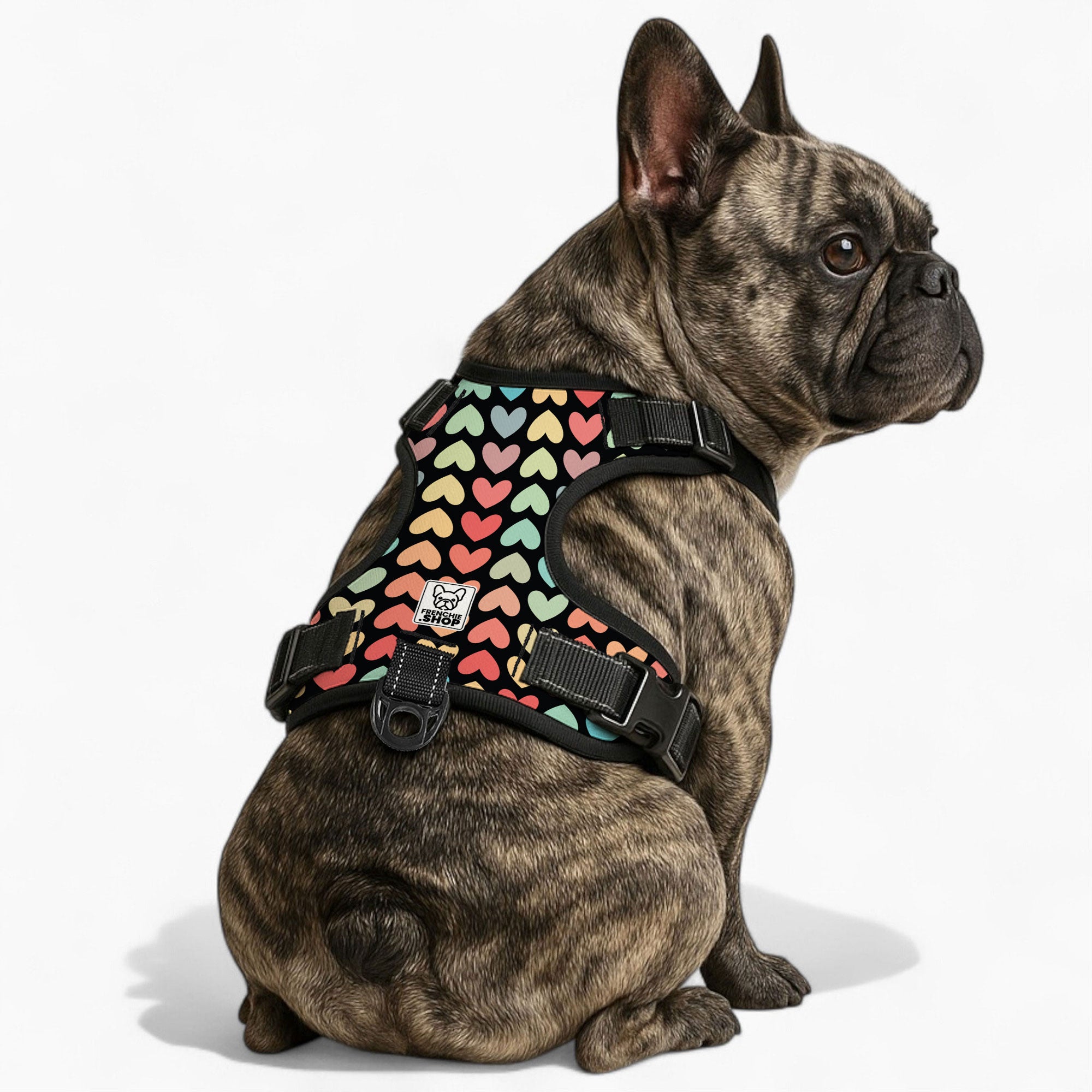 Fontanne - No-Pull French Bulldog Dog Harness