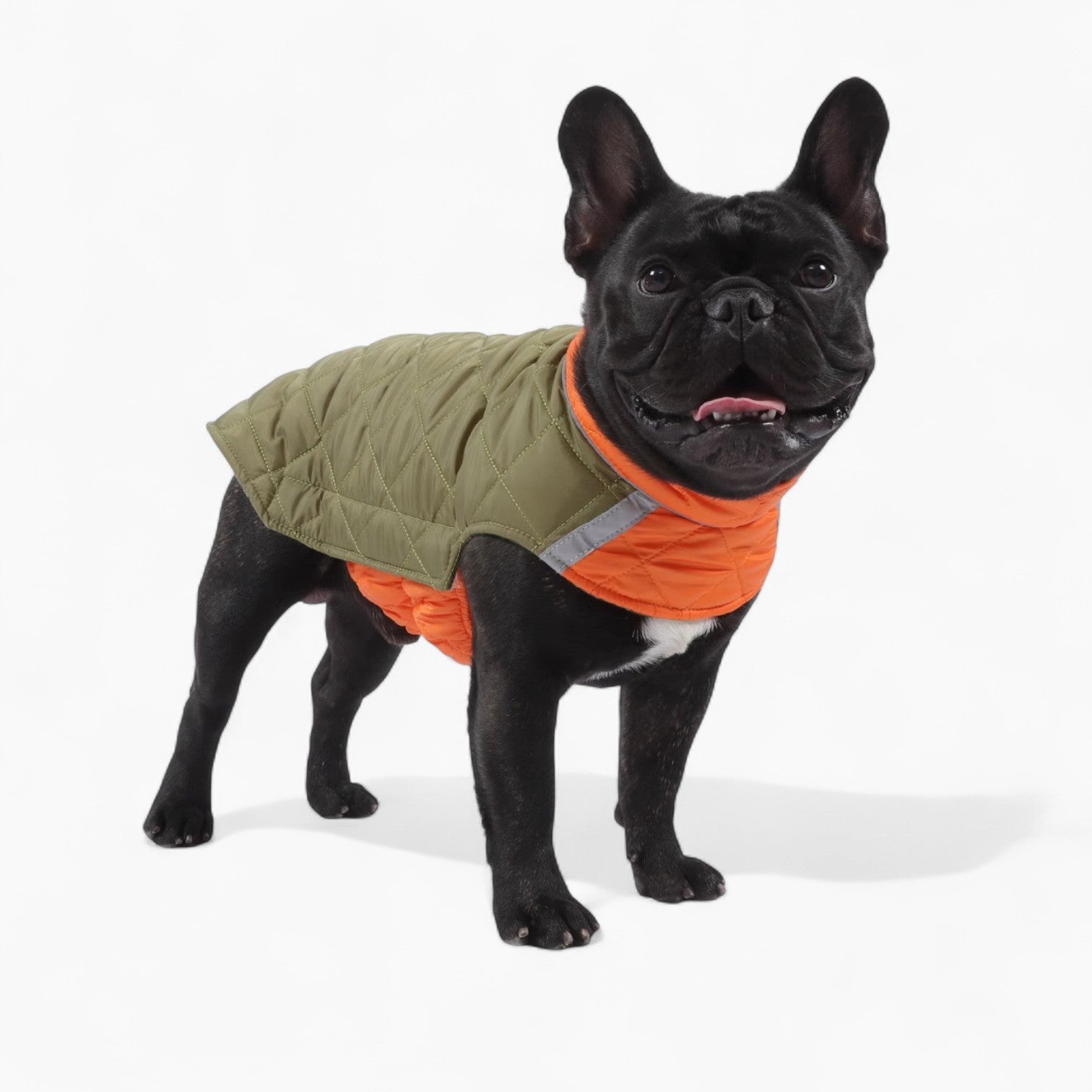 PawVentura™ French Bulldog Winter Jacket — Reversible Reflective Dog Jacket