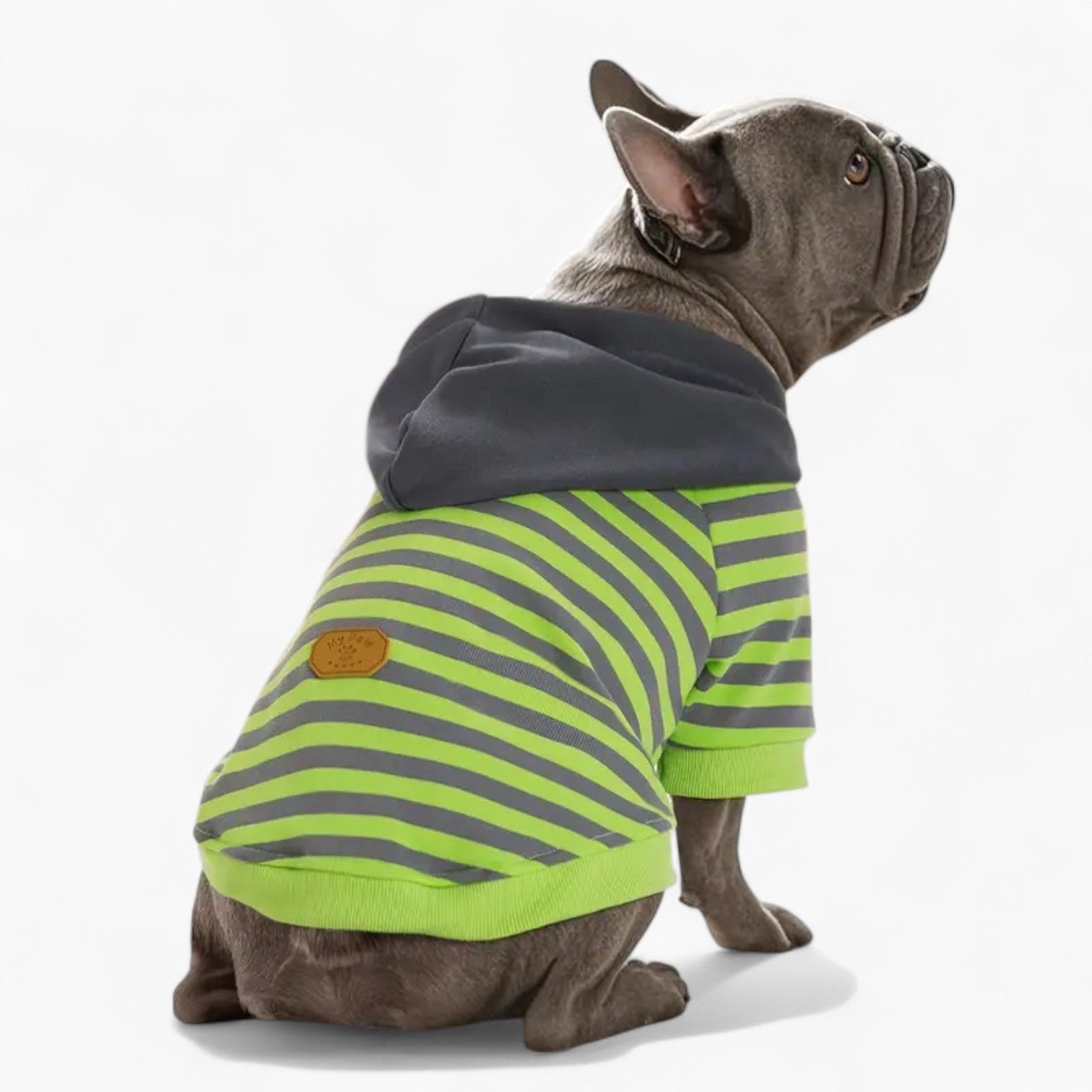 – Soft Striped Knit Pullover With Leather-style Tag Frenchie Themed Wear