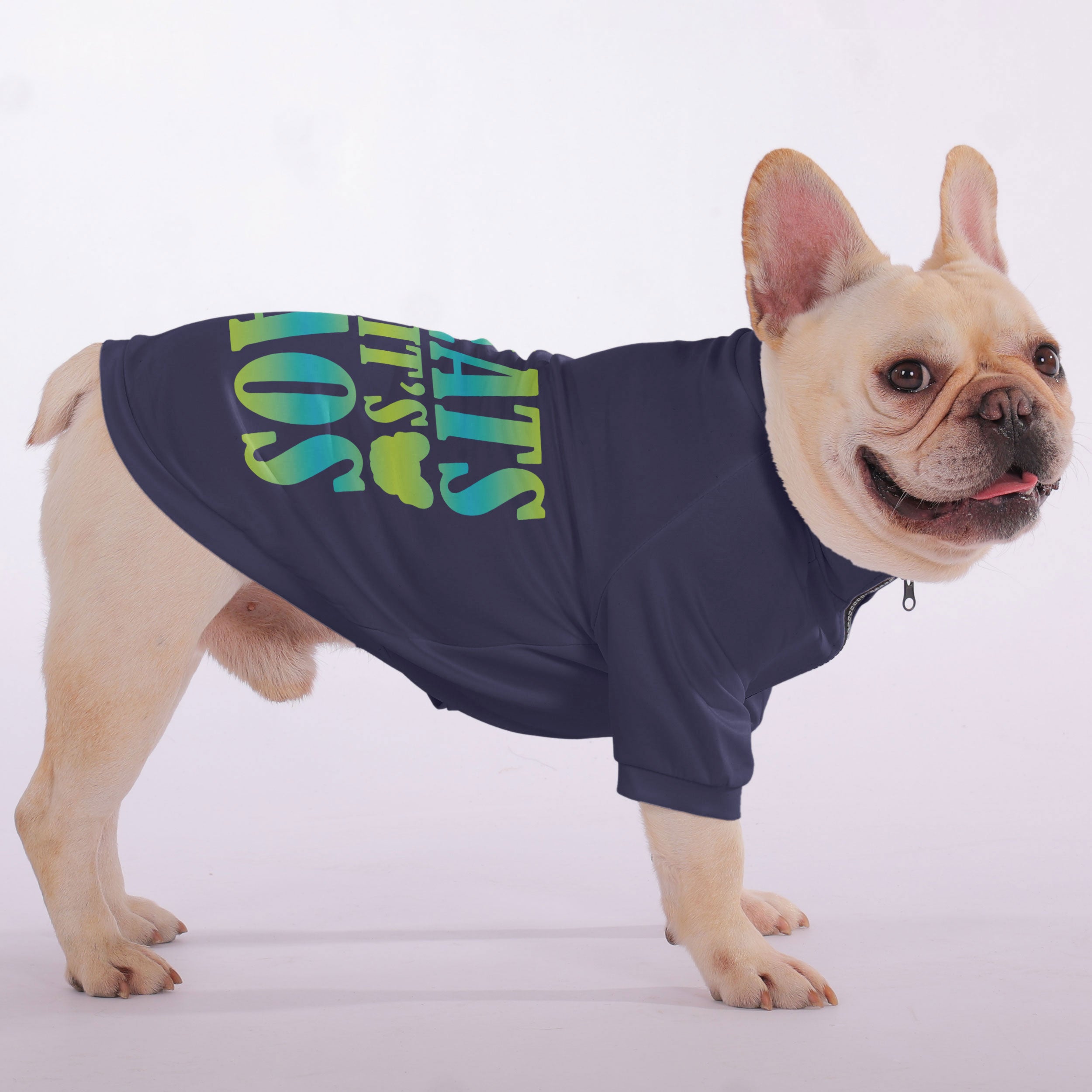 Comfortable Treats Or It’s Chaos - Snuggly Zip-up Sweatshirt For Fren...