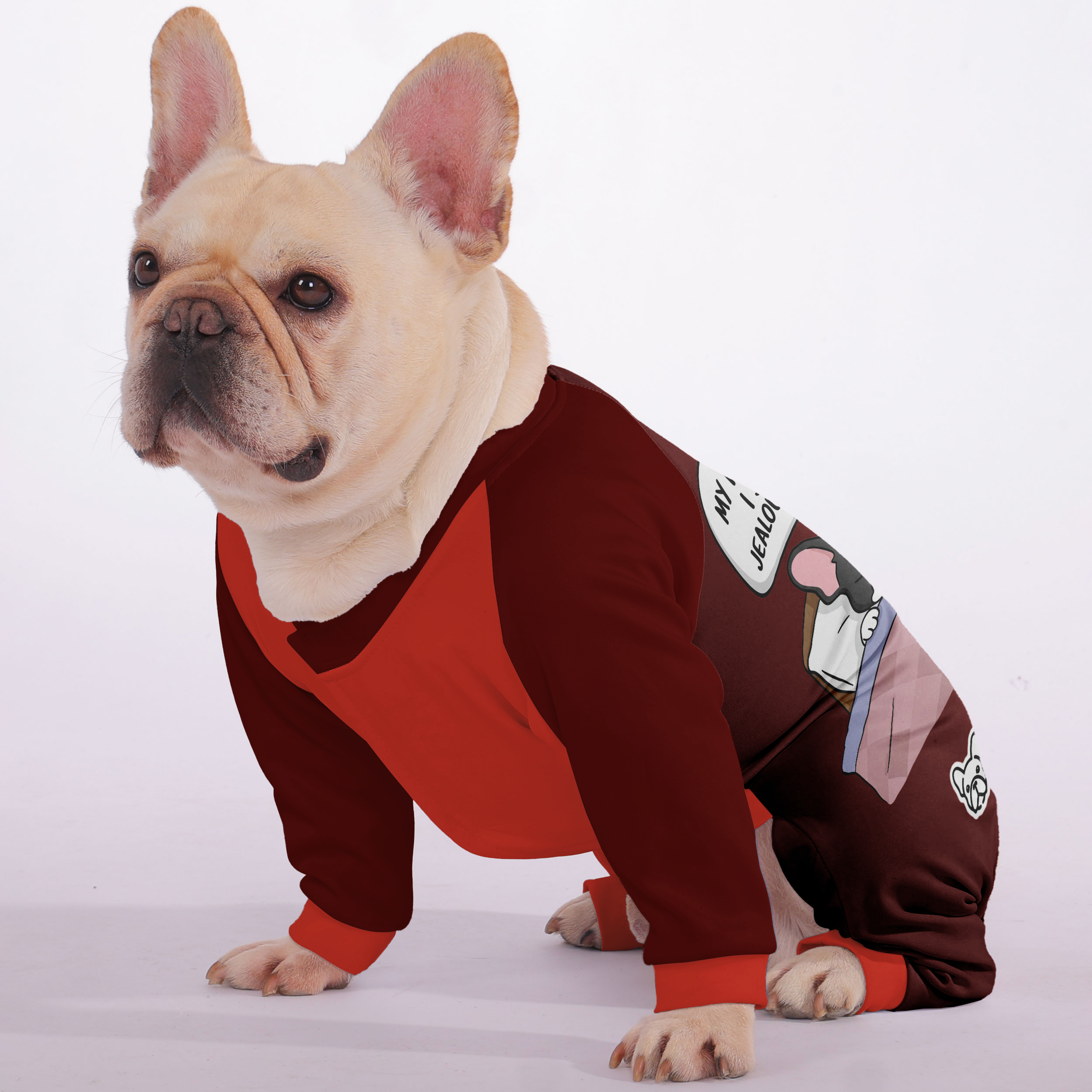 French Bulldog My Human Says I Snore. I Say Theyre Jealous Of My Deep