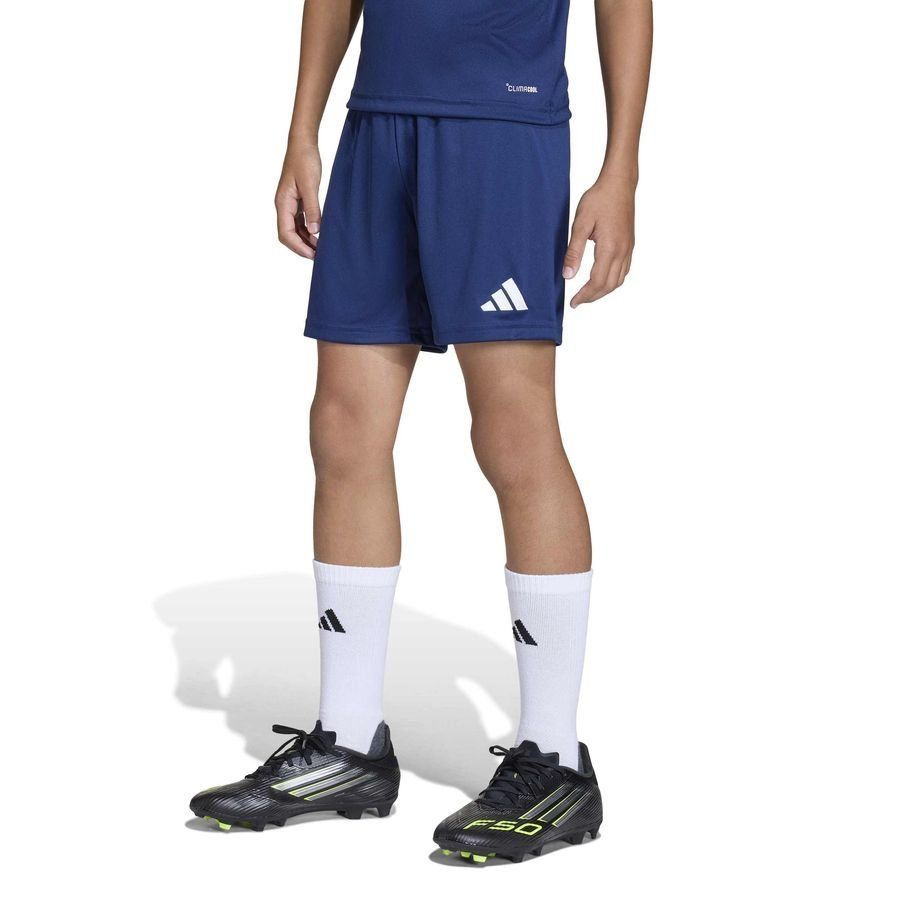 Strømsgodset Toppfotball adidas Treningsshorts Entrada 26 - Team Navy/White Kids