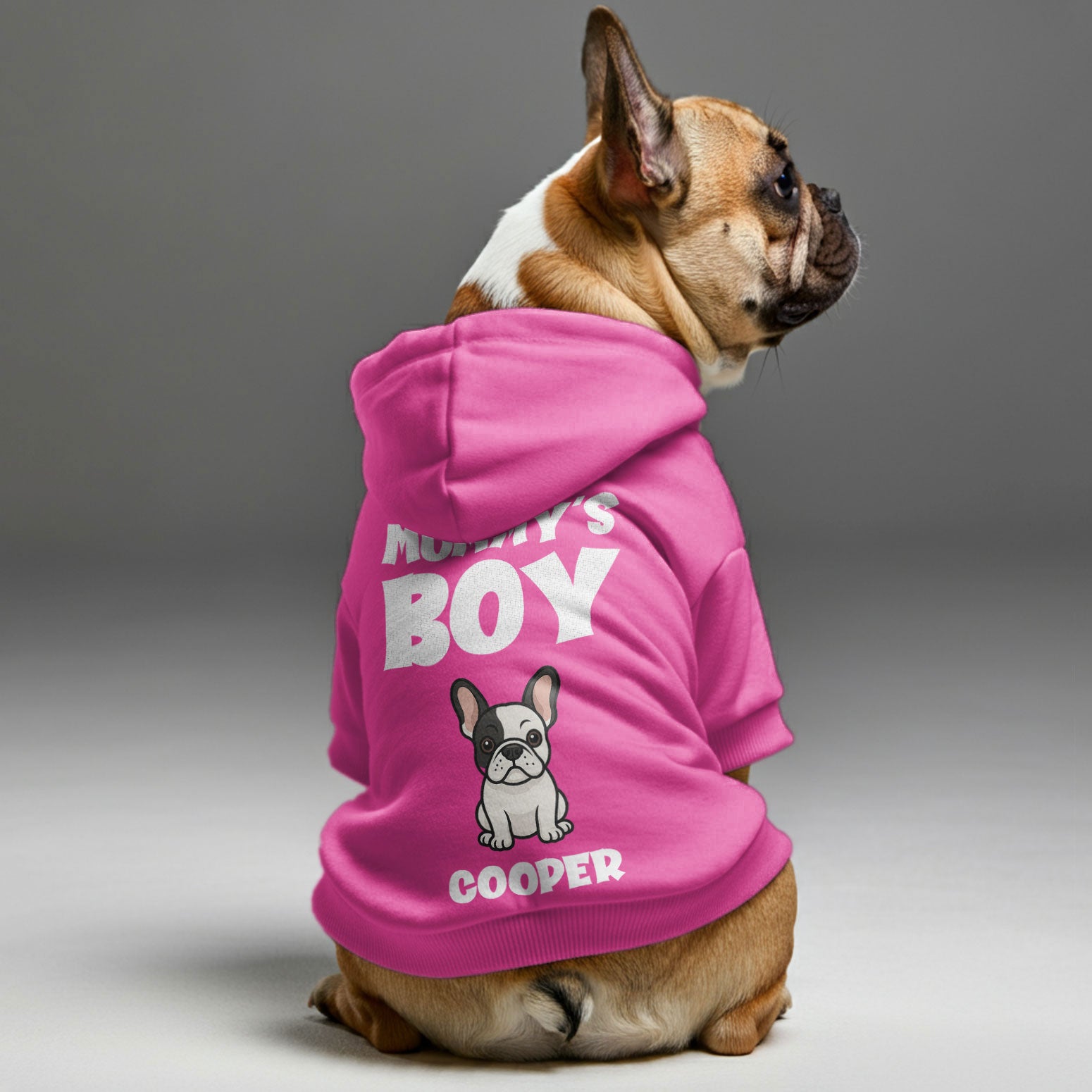 Pet-Lover Mommy’s Girl- Personalized French Bulldog Hoodies With Funn...