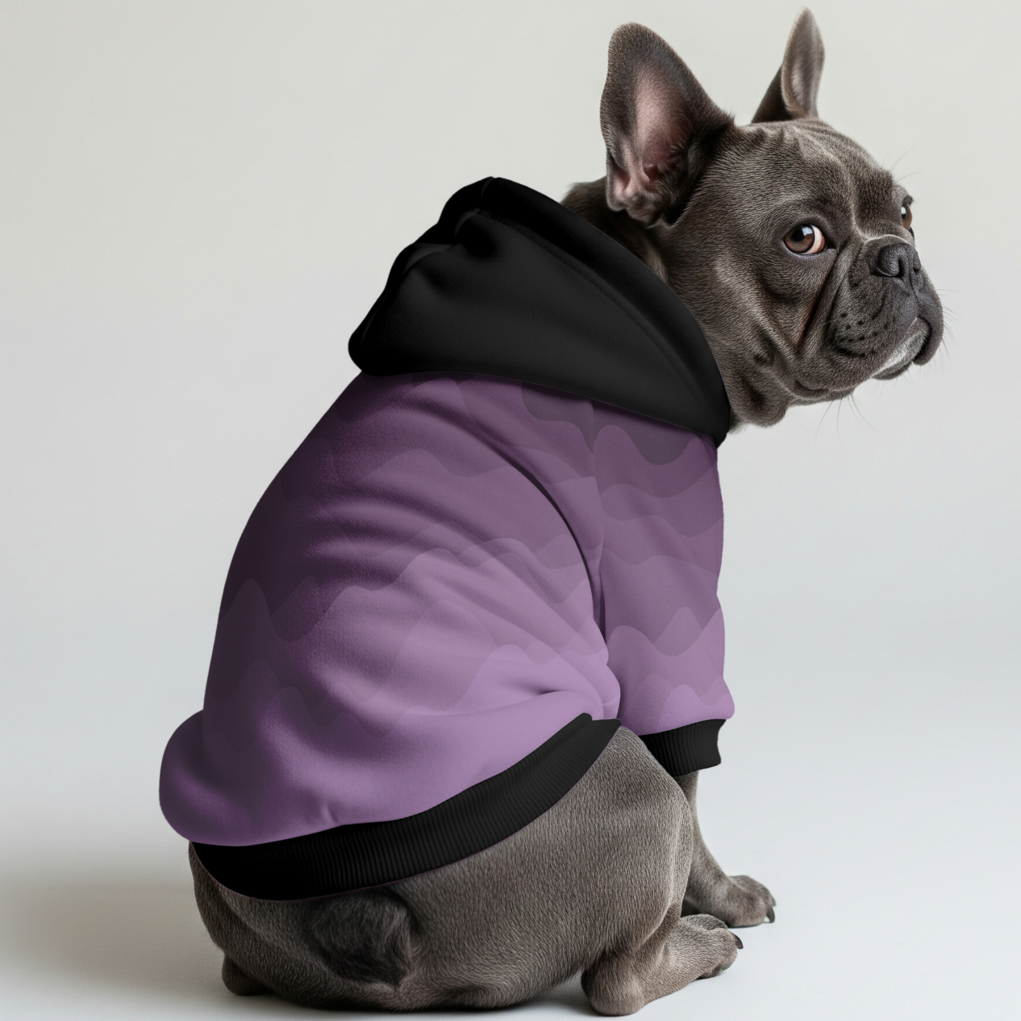 Goldie - Frenchie hoodie
