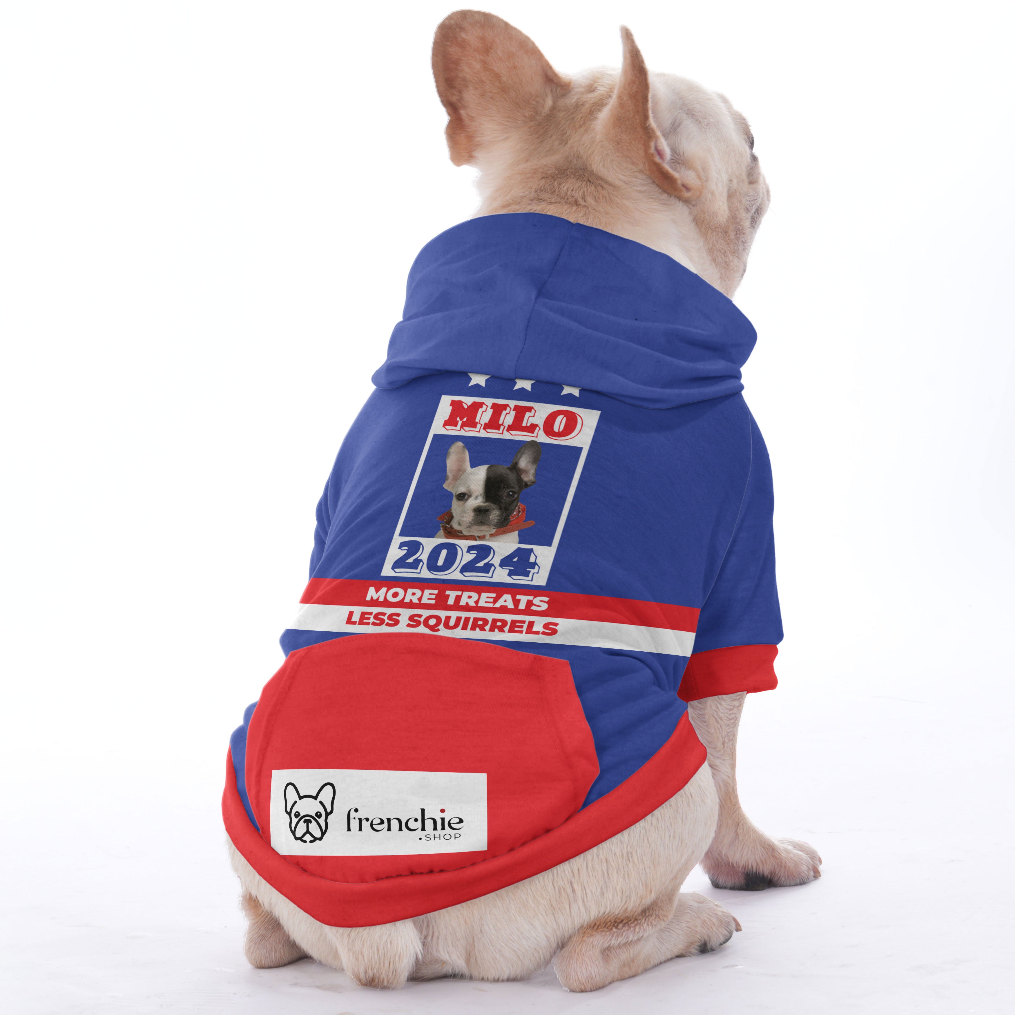 Lifestyle-Driven Custom French Bulldog Hoodies Showcasing Your Dog’s ...