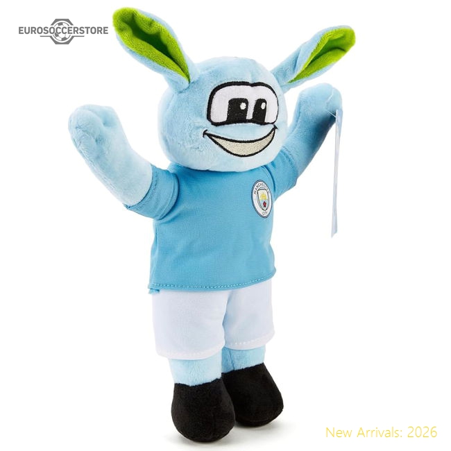 Manchester City 2024-25 Fan Version For Adults Mascot Soccer Jersey