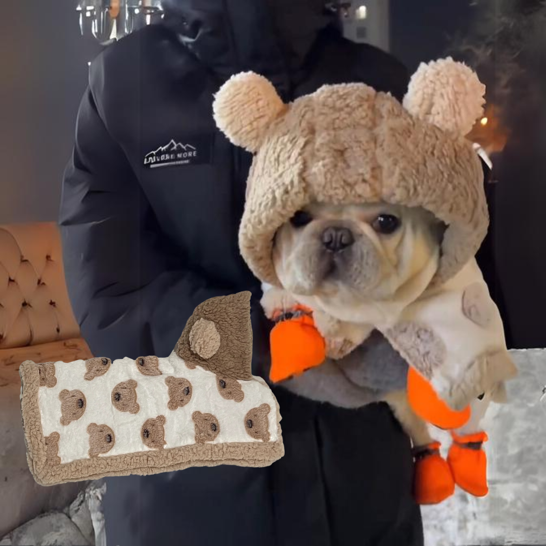 Everyday Cozy Frenchie Bear Hooded Cape Cloak for Pet Enthusiasts