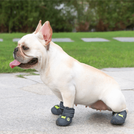 French Bulldog Pupluxe Frenchie Booties With Reflective Straps Cozy Paw Wear