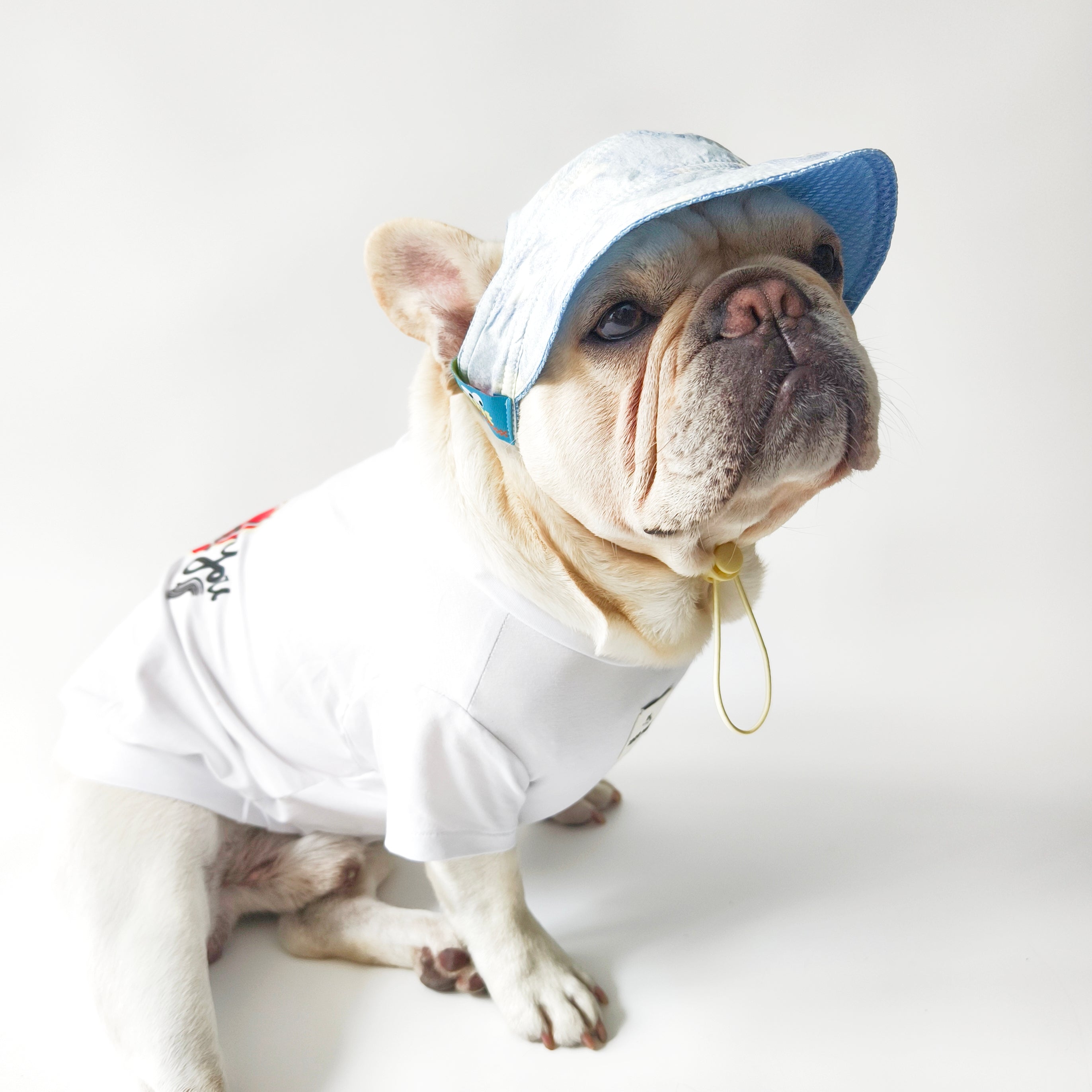 Everyday French Bulldog Hat – Adjustable Comfortable Denim Light Cap ...