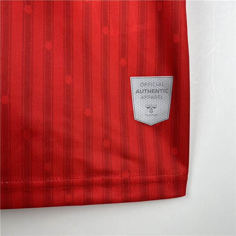 Official Southampton 2324 Home White Soccer Shirt Football shirt