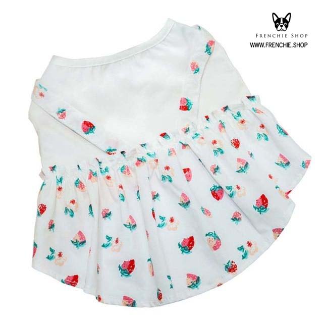 Frenchie Summer Dress Floral Cotton (W305)