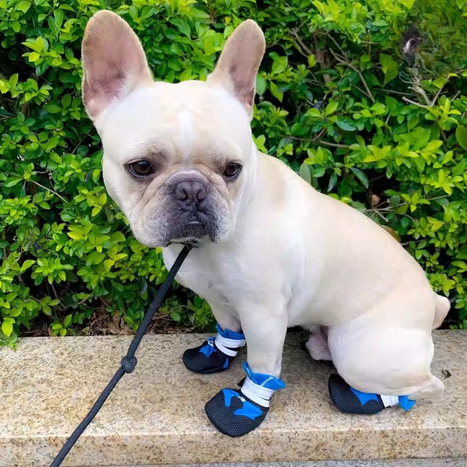 French Bulldog Waterproof Shoes – Soft-soled Pet Booties Dog Supplies