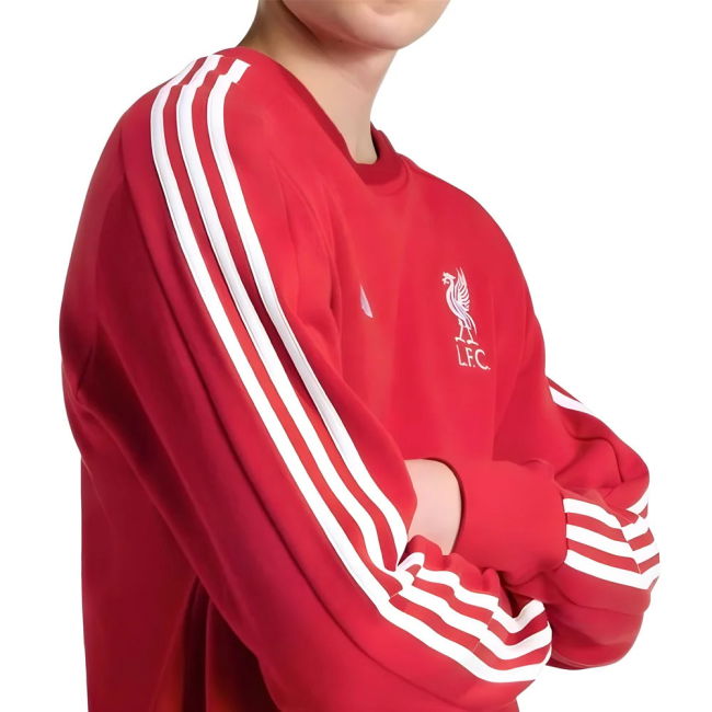 2025-2026 Elite Liverpool Jersey