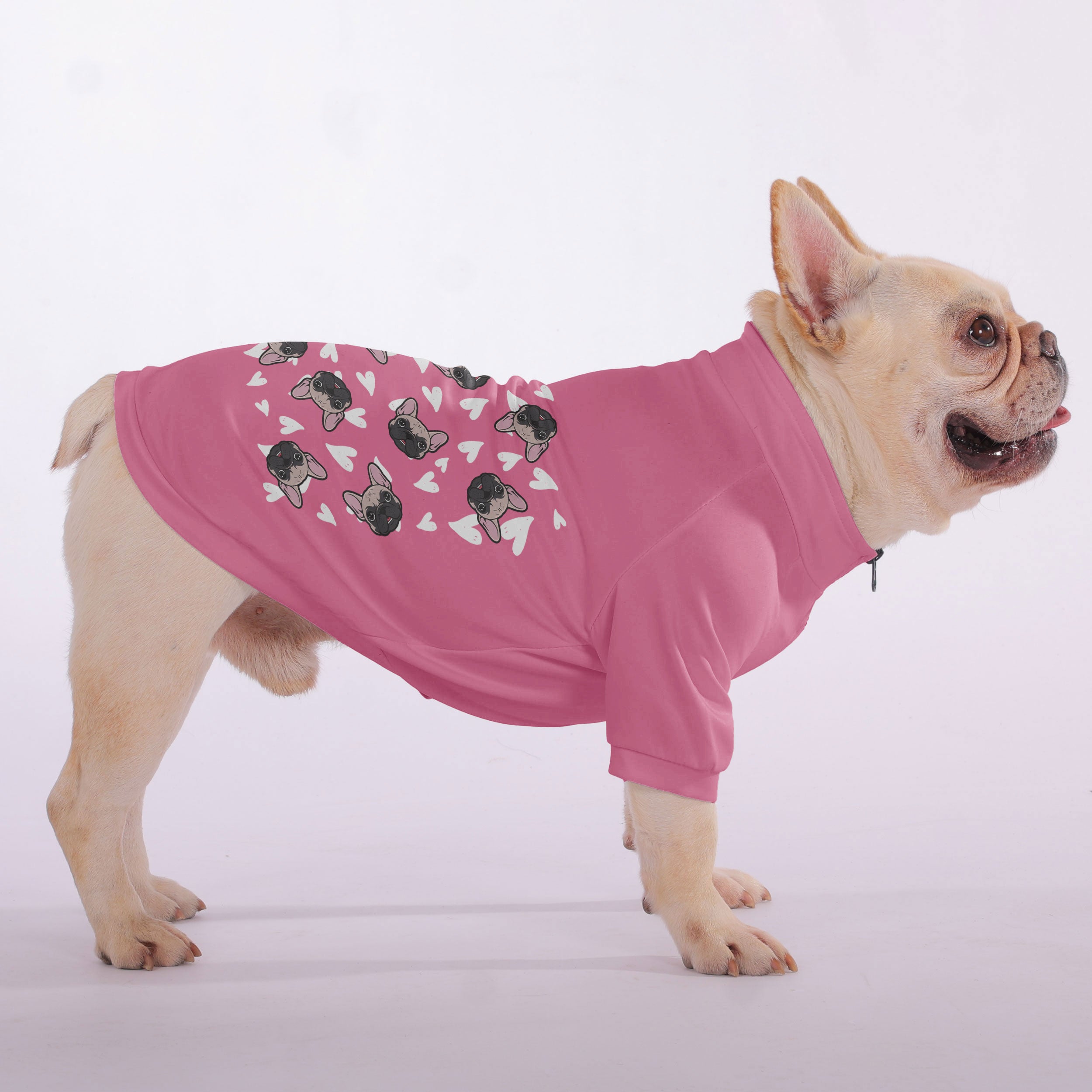 Sweatshirt For French Bulldogs For Frenchie Fans | Premium Quality