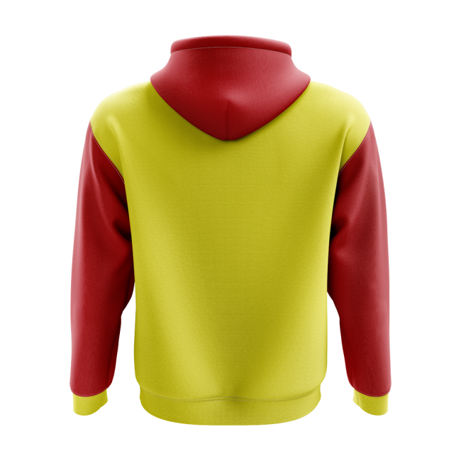 Premium-grade Vietnam Concept Country Football Hoody (yellow)