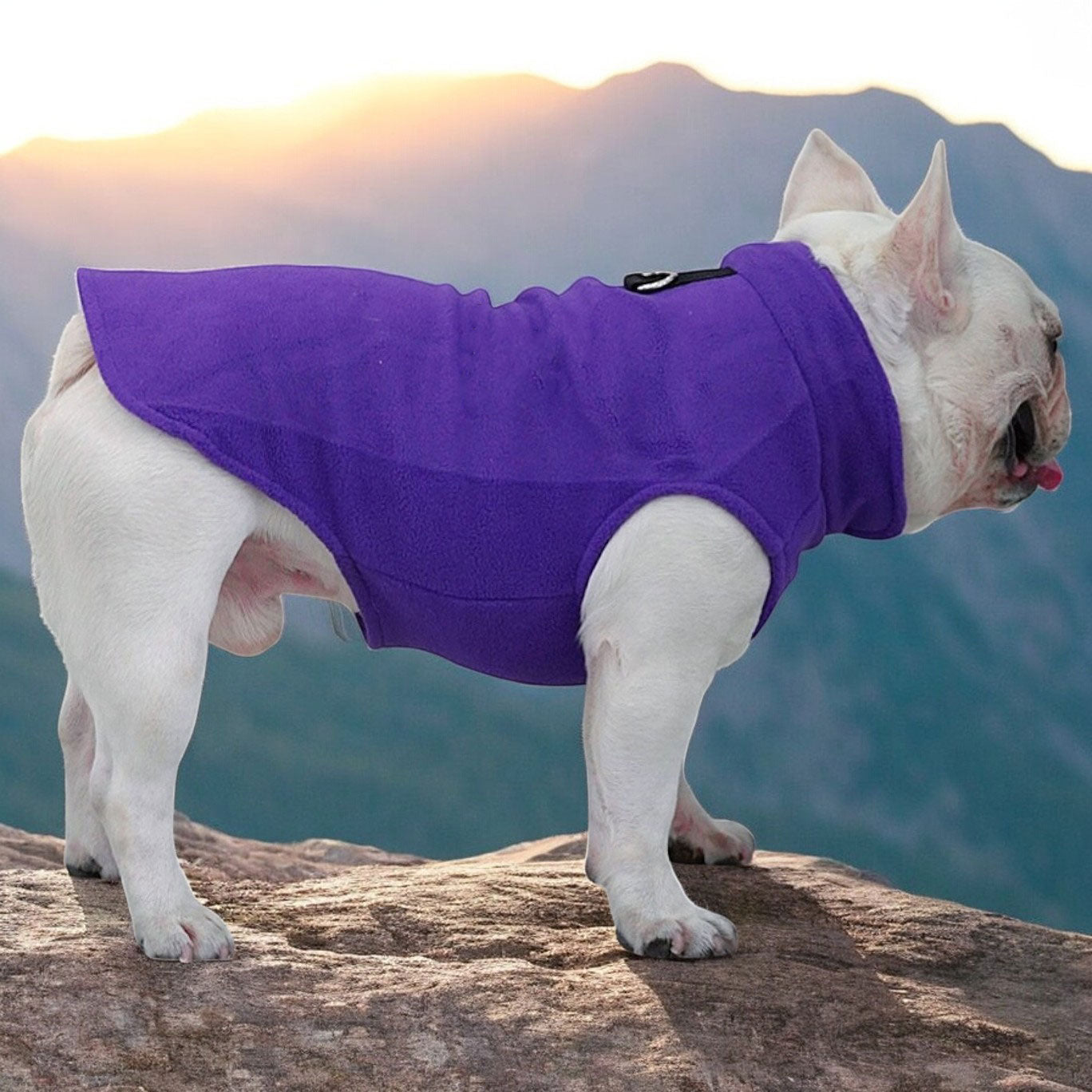 French Bulldog The Dog Face Frenchie Jacket Premium Fleece For Cold
