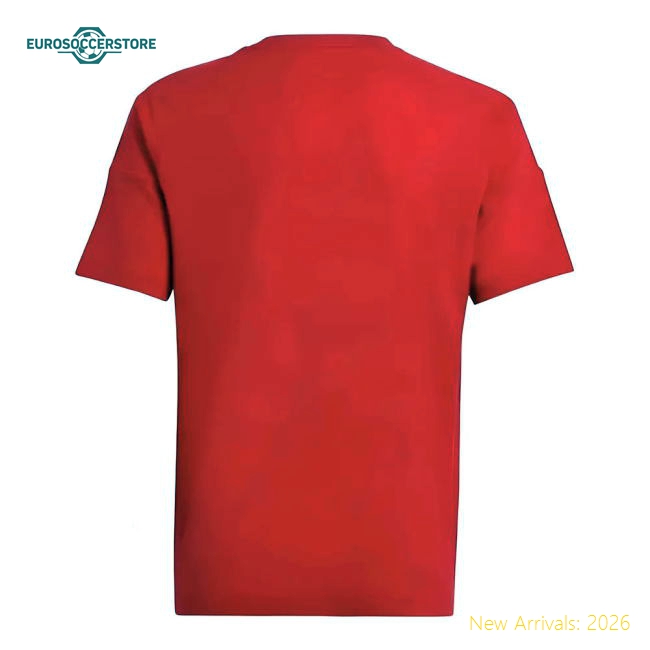 2024-2025 Football Team Kids Comfortable Jersey Puma Drycell