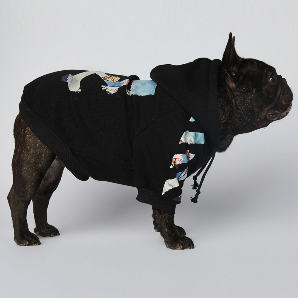 French Bulldog Frenchdot™ French Bulldog Woof Hoodie V4 Durable Dog Item