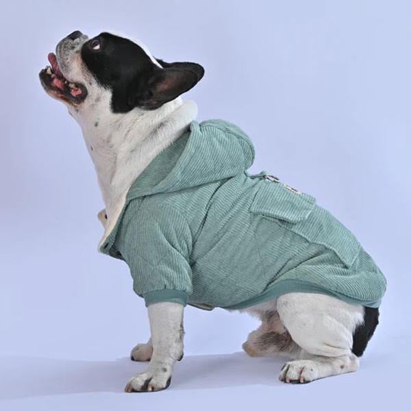 Bulldog Themed French Bulldog Hoodie (wl011) Casual Wear | Unique Design