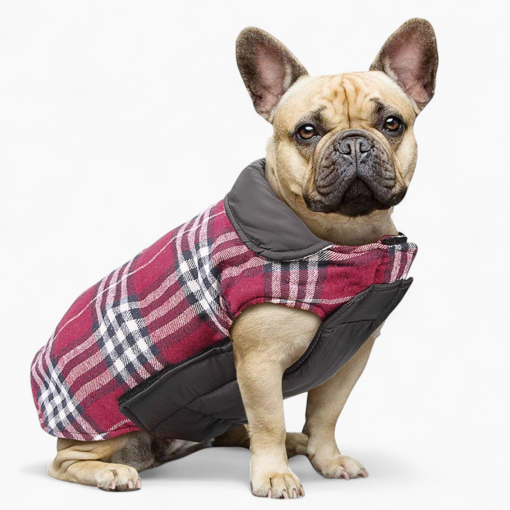 French Bulldog Jacket (ws18) For French Bulldogs | Non-slip Design