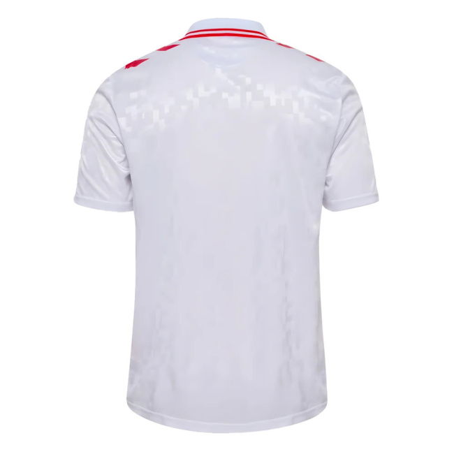 Denmark Stylish Away Jersey 2024-2025