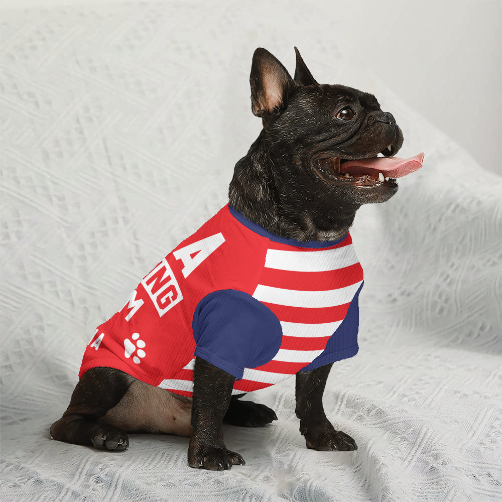 French Bulldog Ivonne Personalized Wool Sweater For Frenchies Warm Dog Outfit