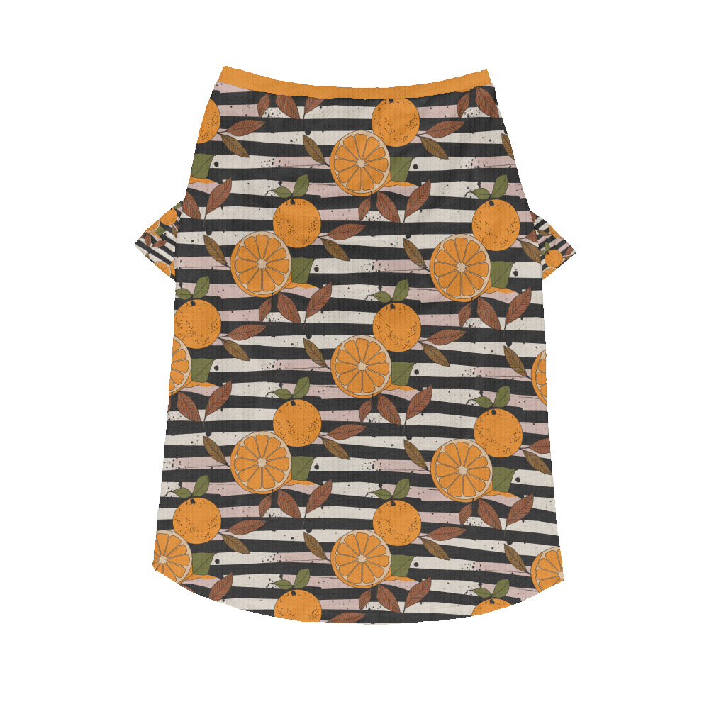 French Bulldog Marco Wool Sweater For Frenchies Warm Cold Weather Gear