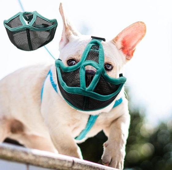 Plumie™ - Comfortable French Bulldog Soft Muzzle Pet Gear