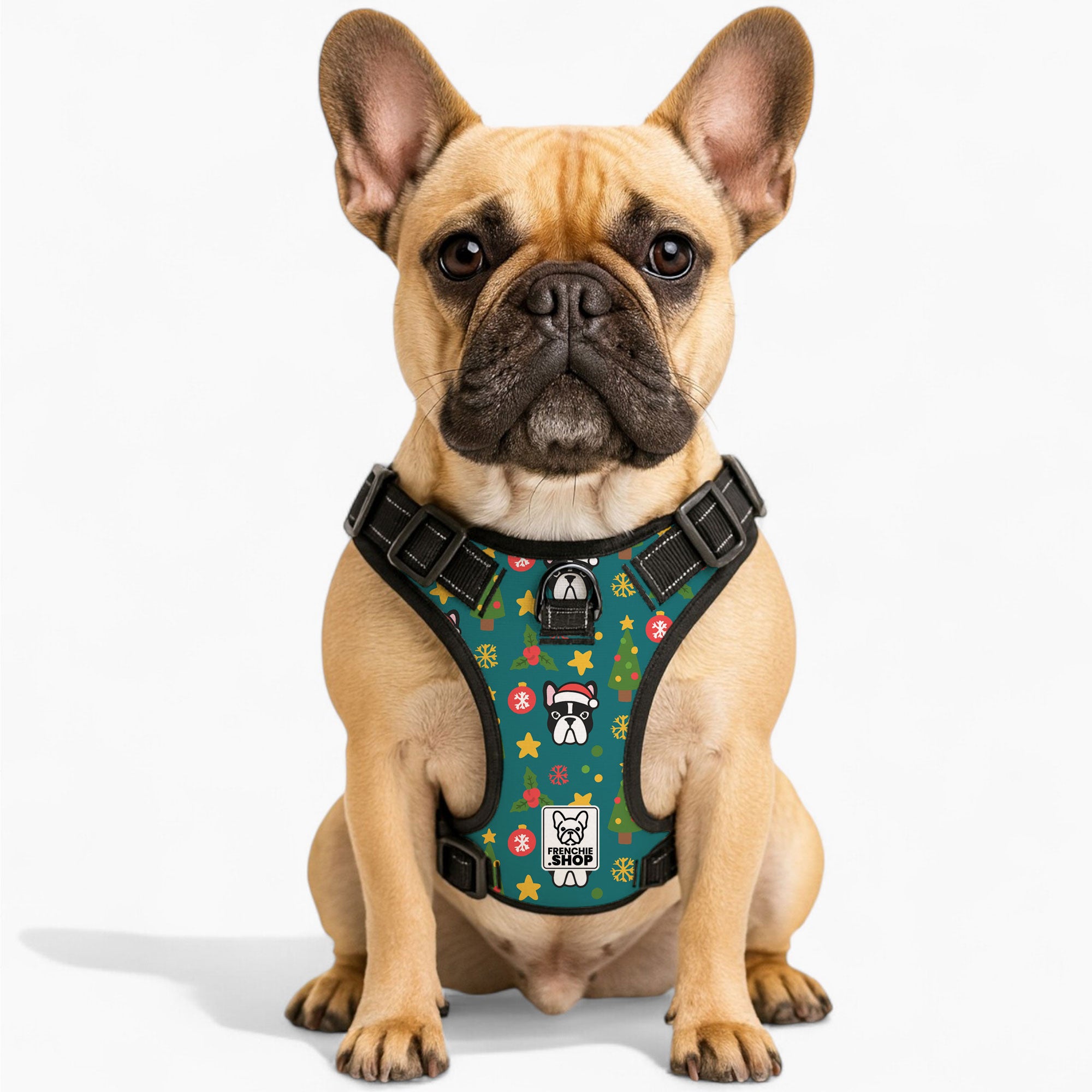 French Bulldog Charlie No Pull French Bulldog Dog Harness Practical Dog Gear