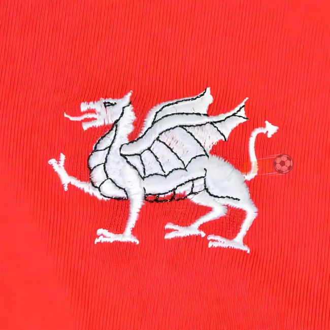 LEA 1970 great value Third Jersey - Adults | premium quality