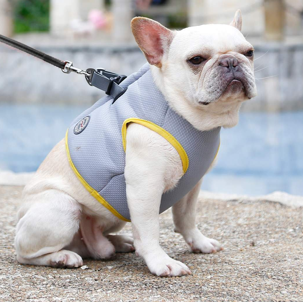 Cooling Harness