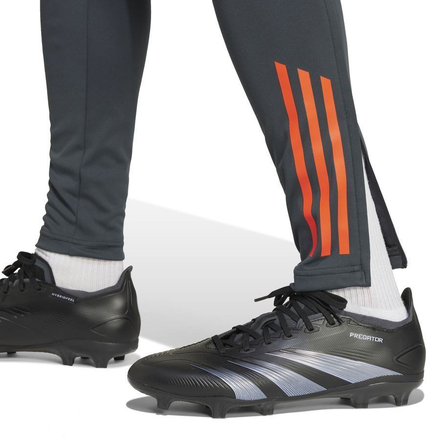 [EFKS] Benfica Trousers Tiro Night Grey/Semi Solar 24 Training Red Uniform