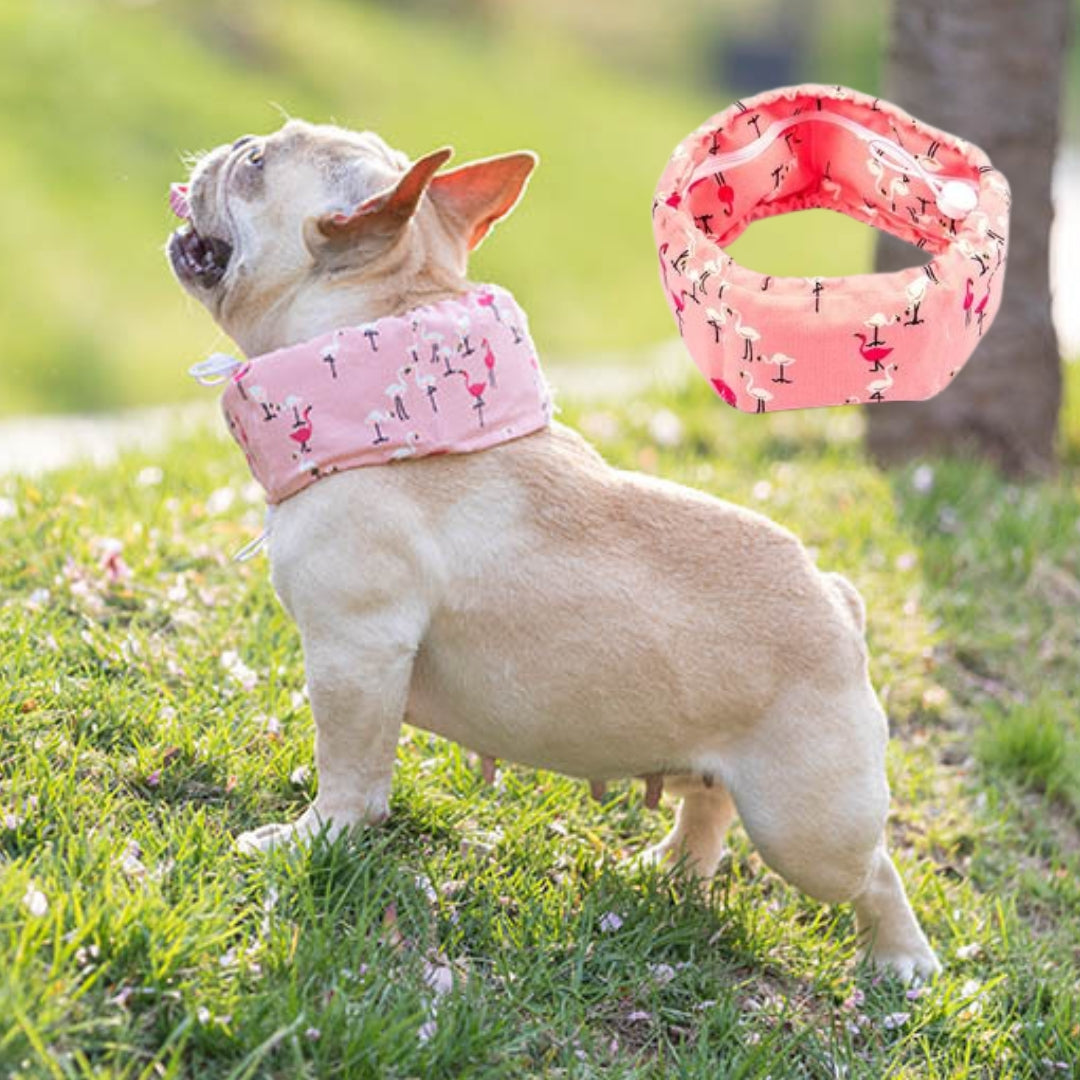 French Bulldog Frenchie Summer Cooling Scarf Anti Heatstroke Durable Dog Item