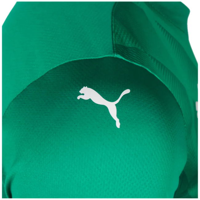 Plymouth Argyle official style Home Shirt 2024-2025 (Unisex