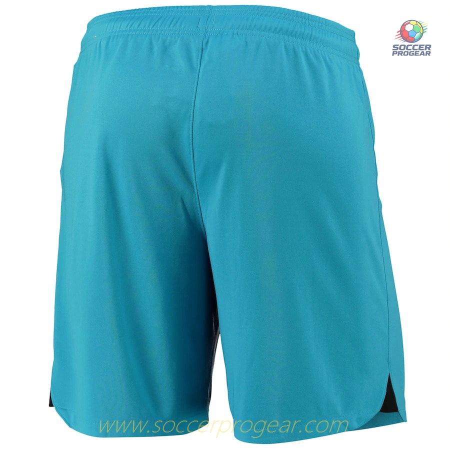 2022 2023 TOTTENHAM THIRD SHORTS