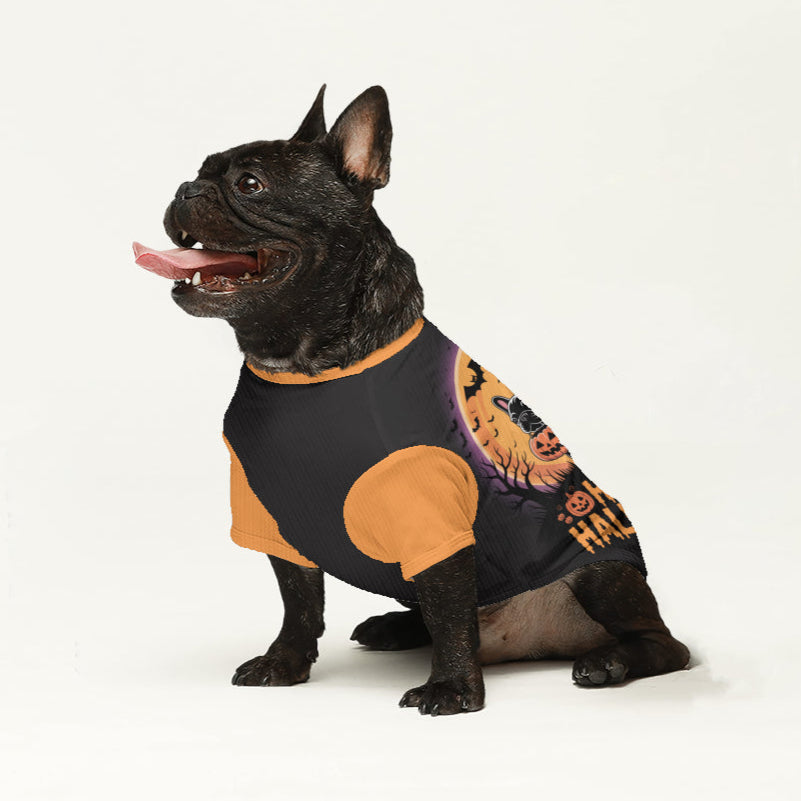 Sheila - Comfy Wool Sweater For Frenchies Indoor Comfort