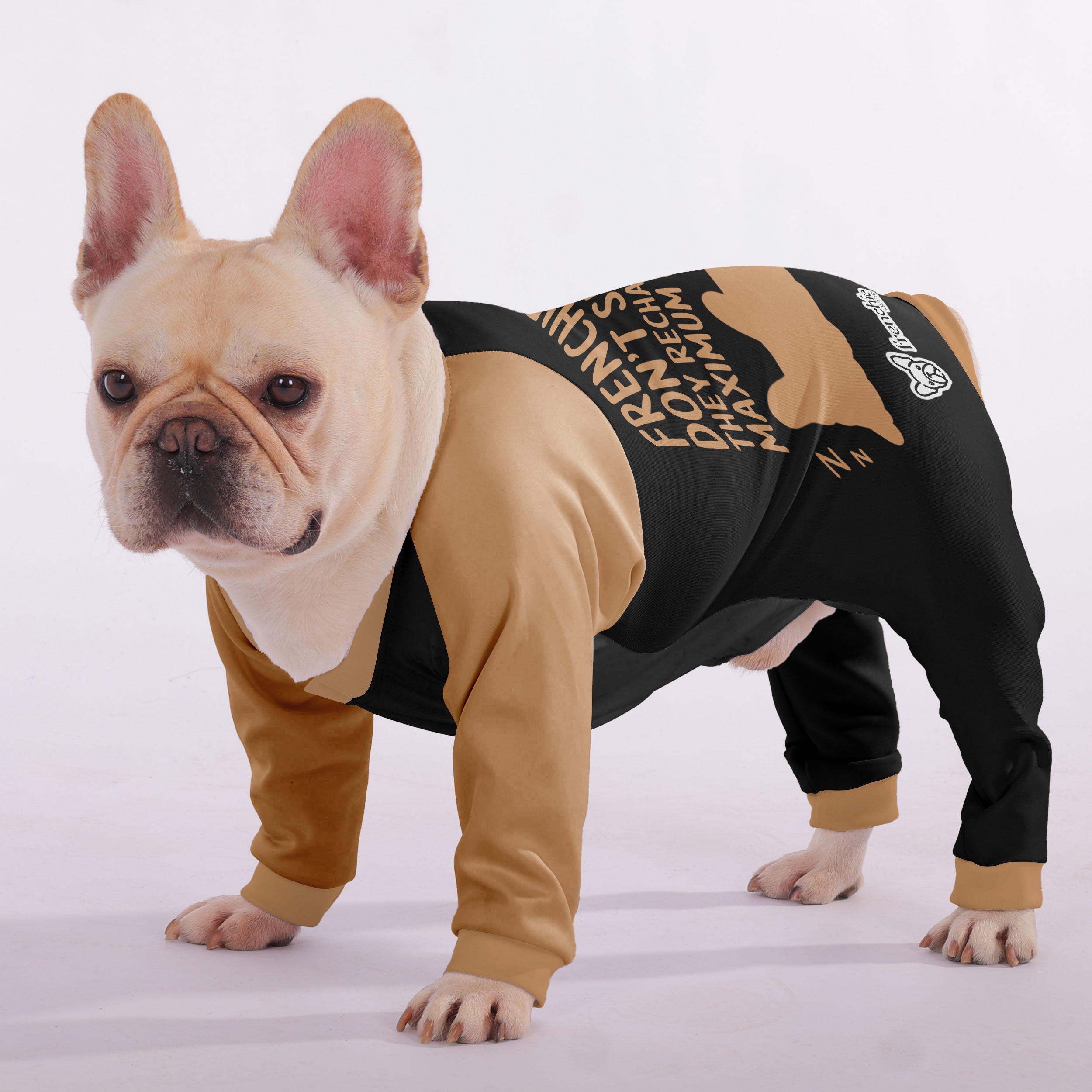 French Bulldog Frenchies Don’t Sleep—they Recharge For Maximum Chaos