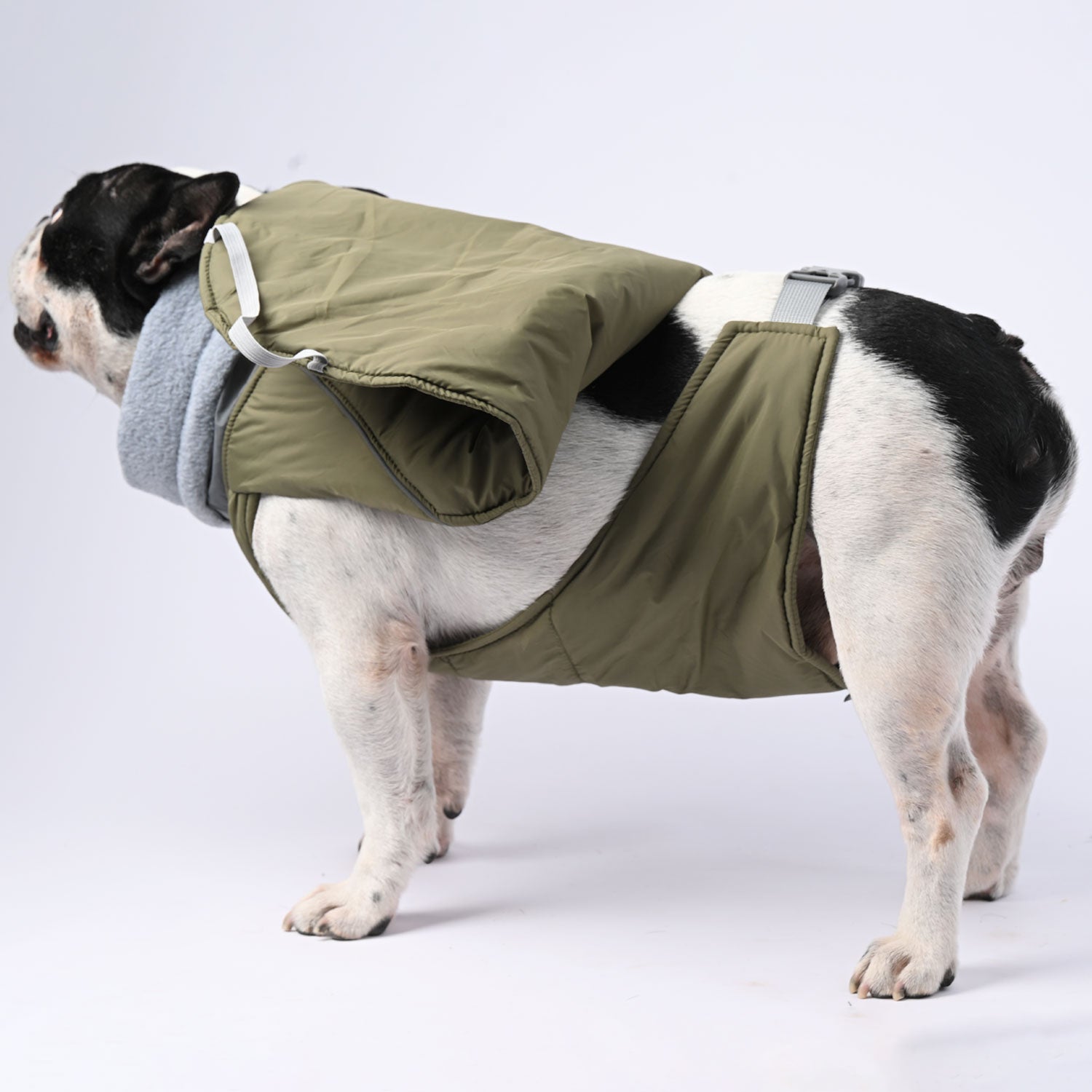 Street-Ready Chillelite Frenchie Luxury Winter Jacket for Dog Owners