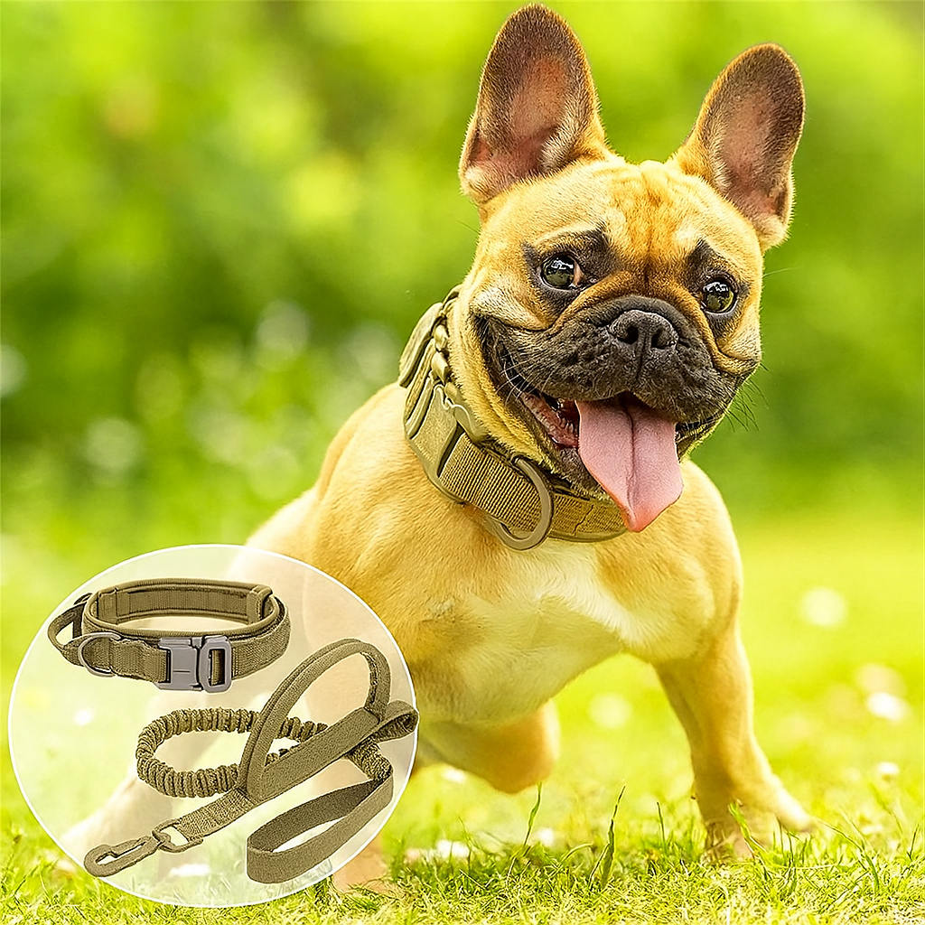 Weather-Resistant Tactipup Frenchie Tactical Collar – Durable Adjusta...