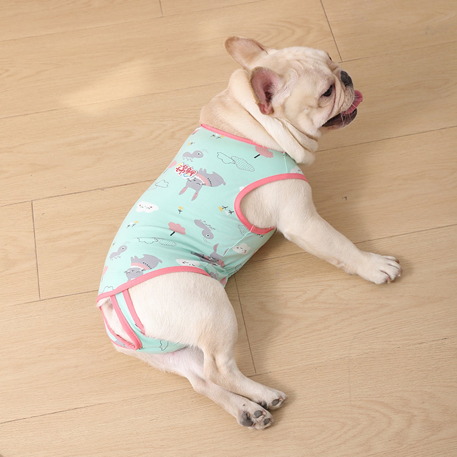 PawJoy French Bulldog Physiological Pants – Cute Comfy Cotton Pants