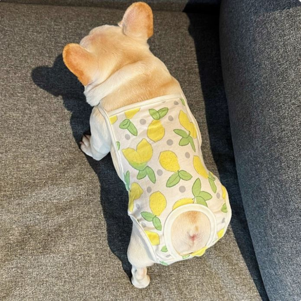 Pants – Leak-proof Heat Cycle Dog Diapers Indoor Use | Durable Build