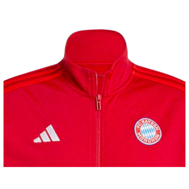 Bayern Munich Classic Jersey 2024-2025 #17