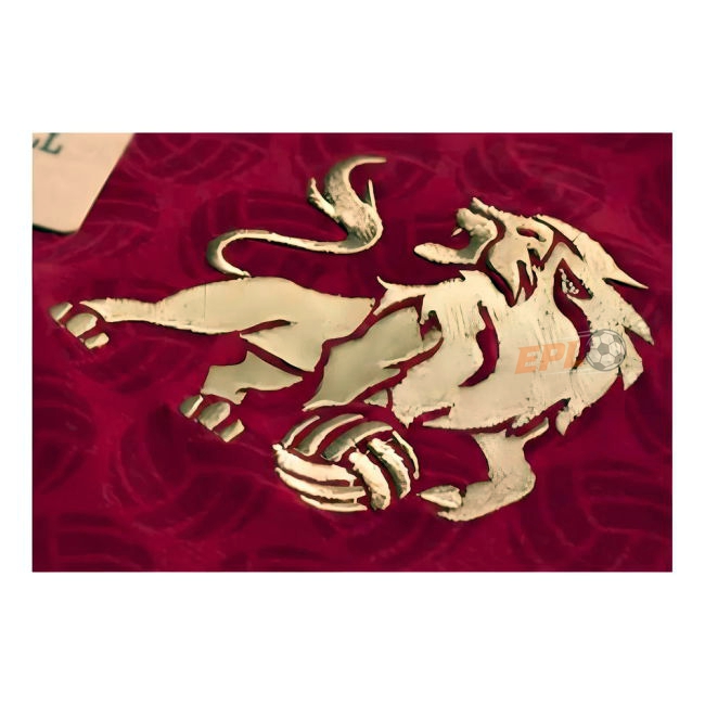 Aston Villa value packed Third Soccer Jersey | original