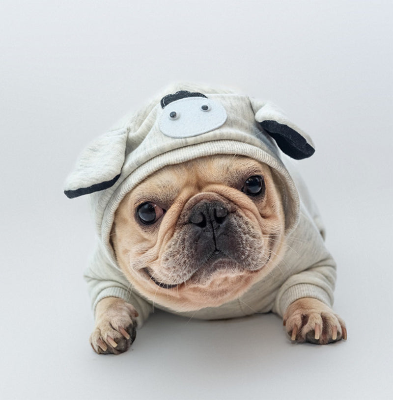 Fashion-Forward Snugfur French Bulldog Winter Cloth Jumpsuit Pajamas ...