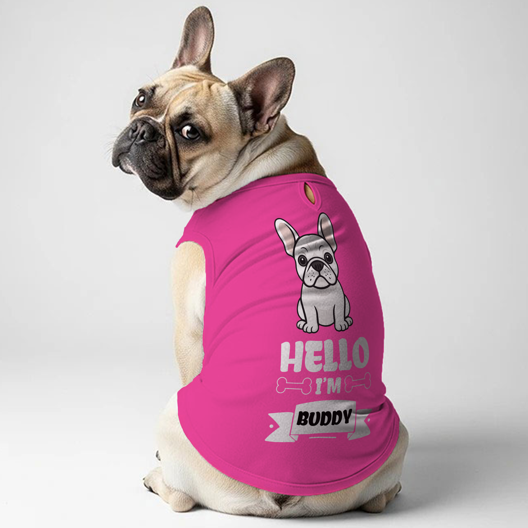 Premium Hello - Personalized Frenchie Shirt | Custom Dog T-shirt For ...